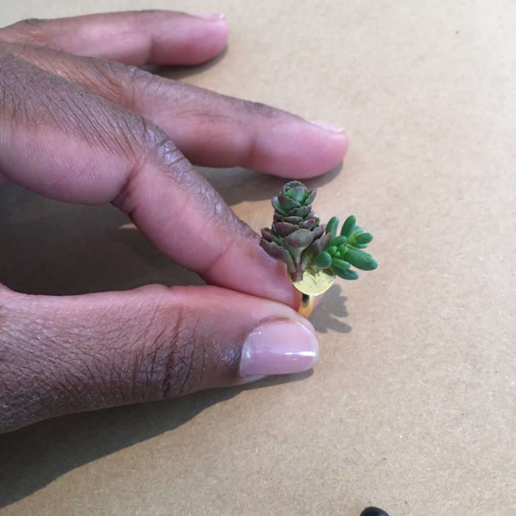 Be sure to glue the plant directly on to the base of the ring. 